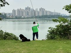 -金银湖国家城市湿地公园