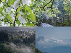 -龙苍沟森林公园