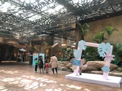 -杭州开元森泊度假乐园