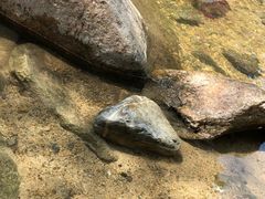 -碓臼峪自然风景区