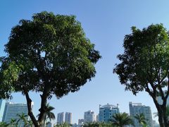 -白鹭洲公园