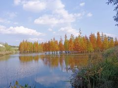 -白鹭湾湿地公园