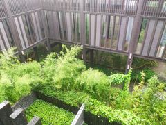 -上海崇明金茂凯悦酒店