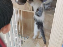 -视佳眼镜EYE(中山北路店)