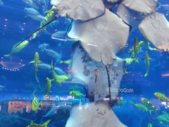 -成都浩海立方海洋公园