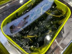 -九街淑芬掌中宝串串公司(内街文化创意园店)