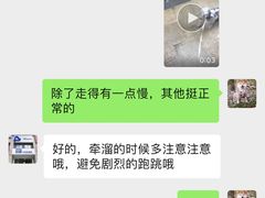 -关爱宠物医院·猫科中心·消化科(滨湖万达分院)