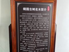 -绮园景区