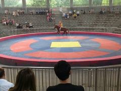 android_upload_pic-石家庄市动物园