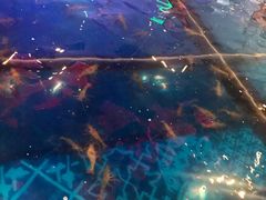 -钳真多钓虾馆·小龙虾海鲜烧烤(九六广场店)