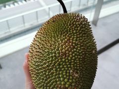 -林旺社区水果市场