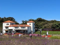 -济州森林小火车生态公园