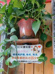 点击看大图 -IDO艾渡护肤造型