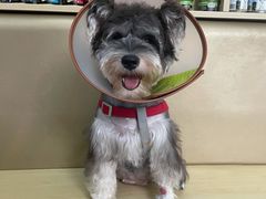 -宠颐生猫科·内科皮肤科(西平世纪城店)