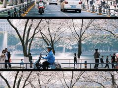 -西北湖绿化广场