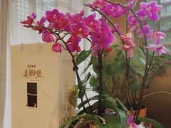 -中国徽菜·徽商故里(罍街店)