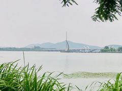 -高子水居