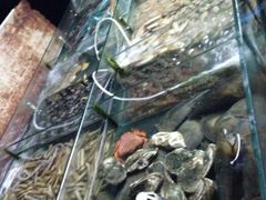 android_upload_pic-岛中岛·海鲜大排档·万宁老字号(东澳店)