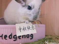 -天津前进宠物医院(前进道店)