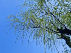 -兰溪青年公园