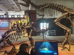 -自贡恐龙博物馆