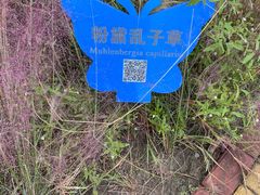 -同里国家湿地公园
