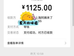 -阿姨来了月嫂服务中心(徐汇店)