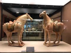 -西安大唐西市博物馆