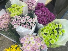-武汉花鸟市场