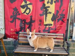 -宠乐会宠物乐园