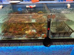 -小天鹅戴斯酒店鲸鲨百汇创作料理