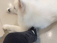 -共舞时光猫咖·狗咖(新街口店)