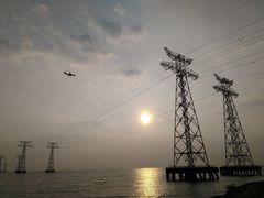 -宝安西湾红树林湿地公园