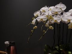 -町家Machiya(泰府·名邸店)