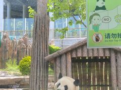 -大连森林动物园