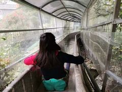 -荔江湾景区