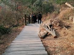 -大罗山风景区