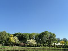 -泰丰公园