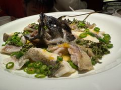 -CHIC1699远洋私厨