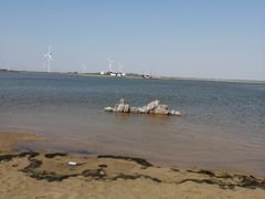 -黄海国家森林公园