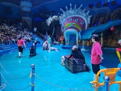 -烟台海昌鲸鲨海洋公园