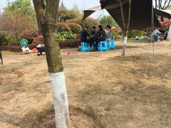 -铁山坪森林公园