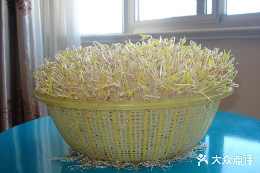 dsc04505_玉米珍珍