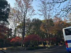 -北山街历史文化街区