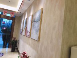 -诗媛嘉美健康管理中心(金桥店)