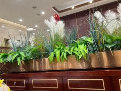 -红菜坊·烤鸭·川鲁宴(石园店)