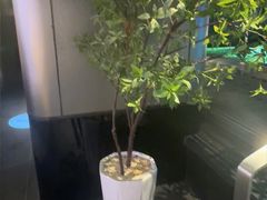 -漫·汤泉