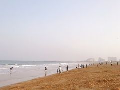 -日照海滨国家森林公园