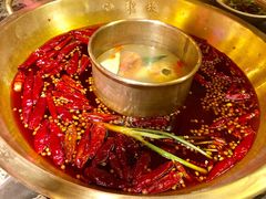 -小龙坎火锅(泉舜店)