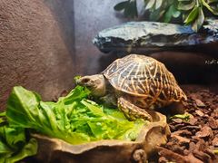 -上海海洋水族馆